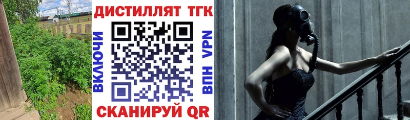 Купить где Вытегра Дистиллят ТГК гашишное масло